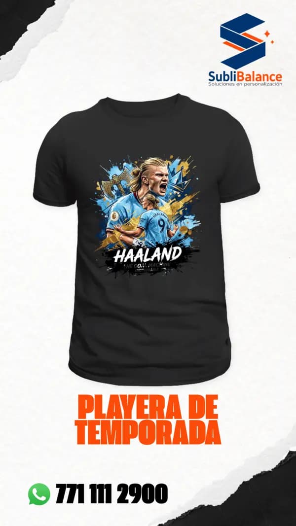 Haaland — Goal Machine